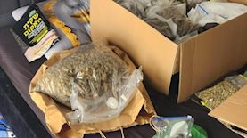 סחר בסמים, צילום: דוברות המשטרה